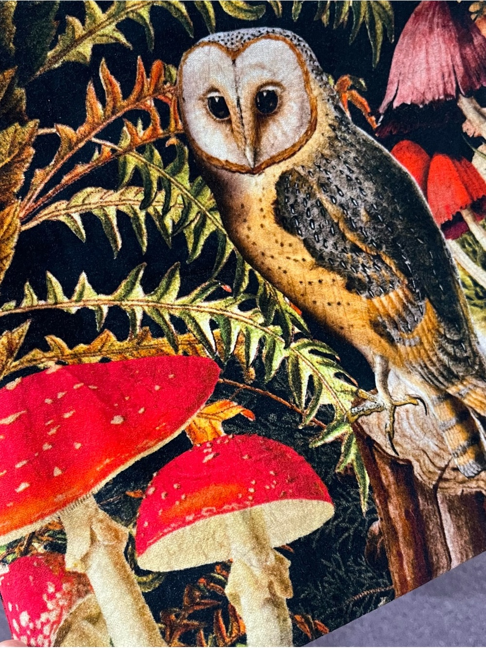 POWDER Velvet Woodland Owl Mushroom